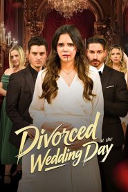 Divorced at the Wedding Day